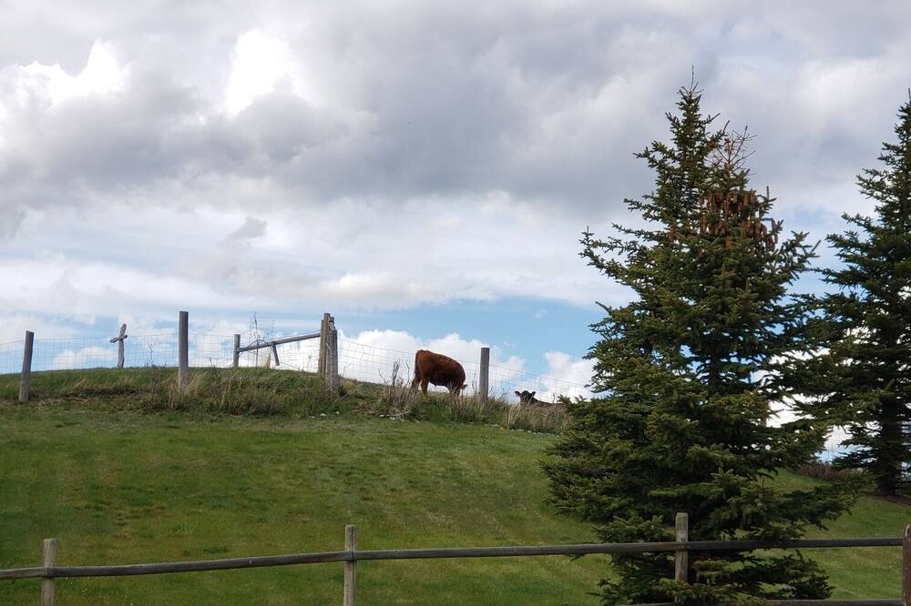 Photo of Others in White Sulphur Springs