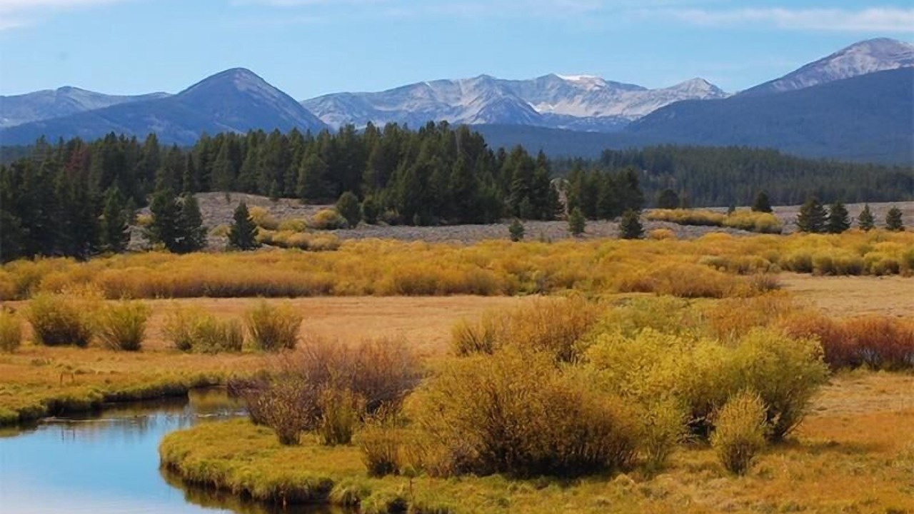 Photo of Outdoor in Dillon