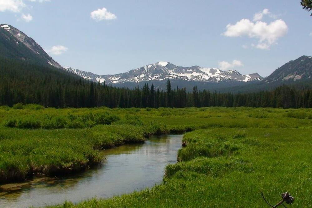Photo of Others in Dillon