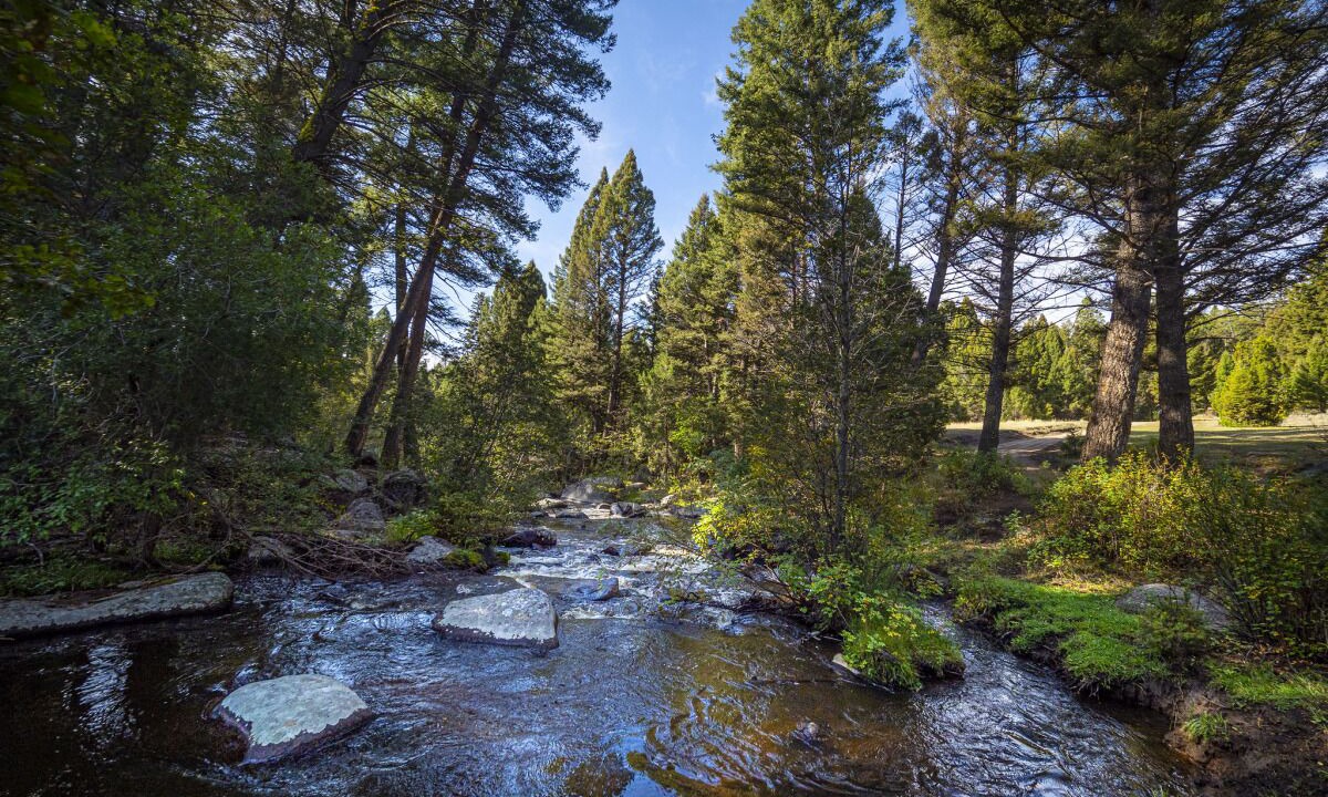 Photo of Outdoor in Dillon