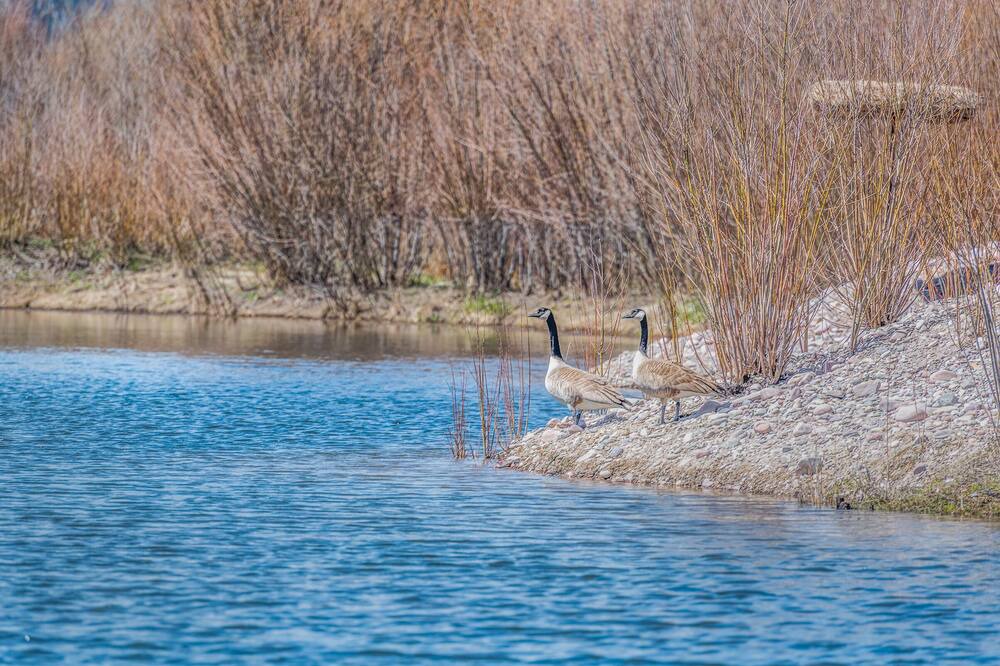 Photo of Others in Frenchtown
