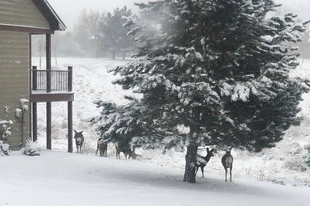 Photo of Others in Billings