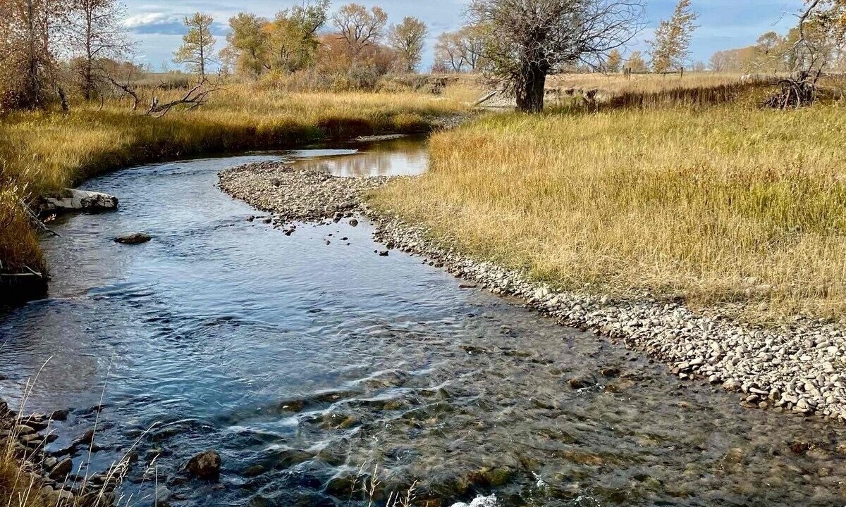 Photo of Outdoor in Dupuyer