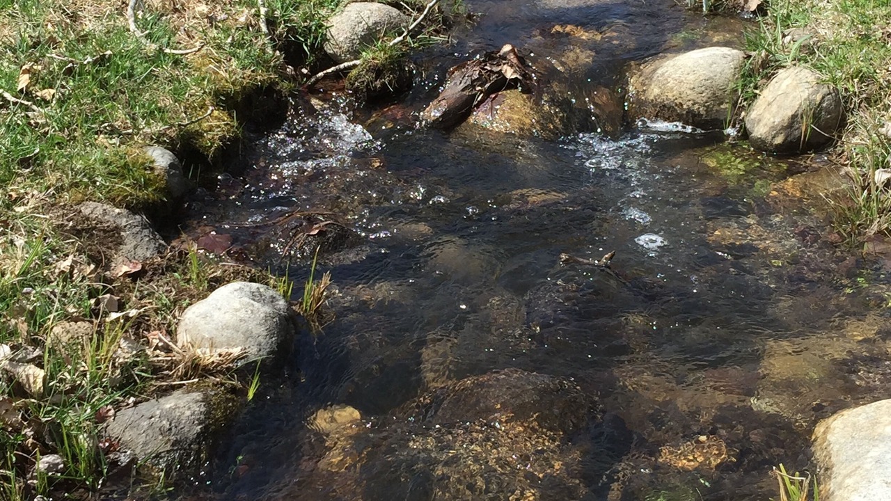 Photo of Outdoor in Hamilton