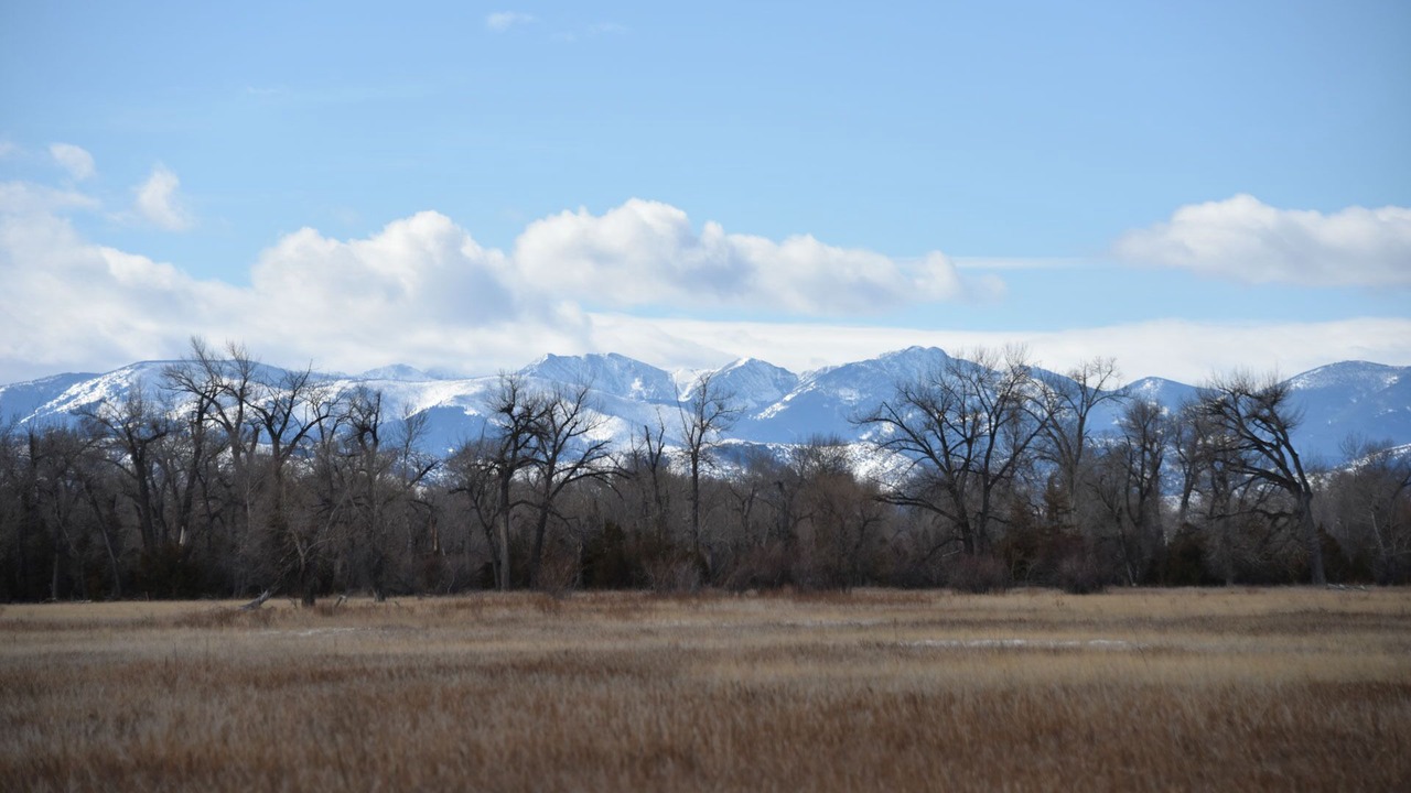 Photo of Others in Three Forks