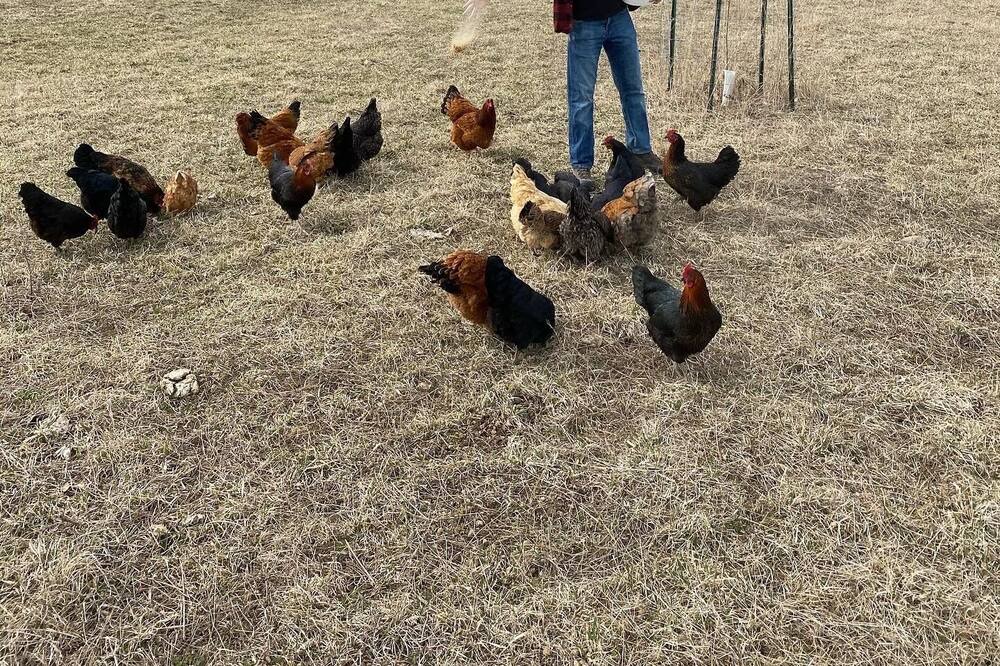 Photo of Others in Grantsdale