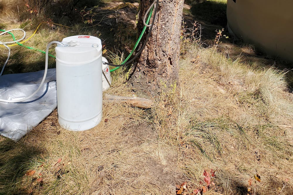 Photo of Outdoor in Missoula