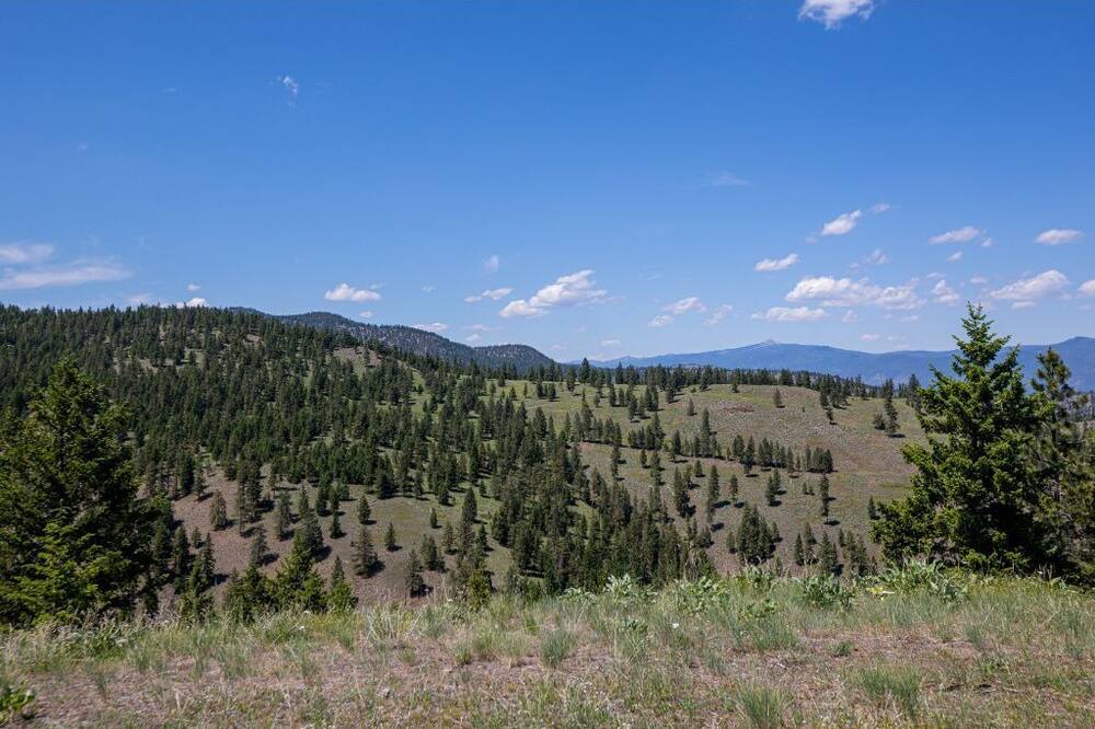 Photo of Outdoor in Missoula