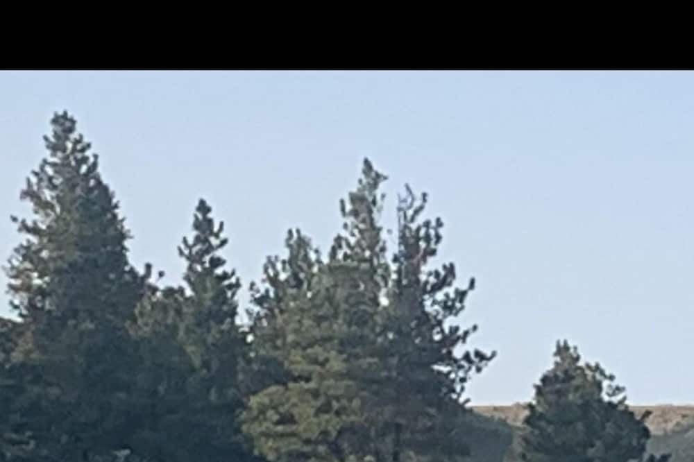 Photo of Others in Teigen