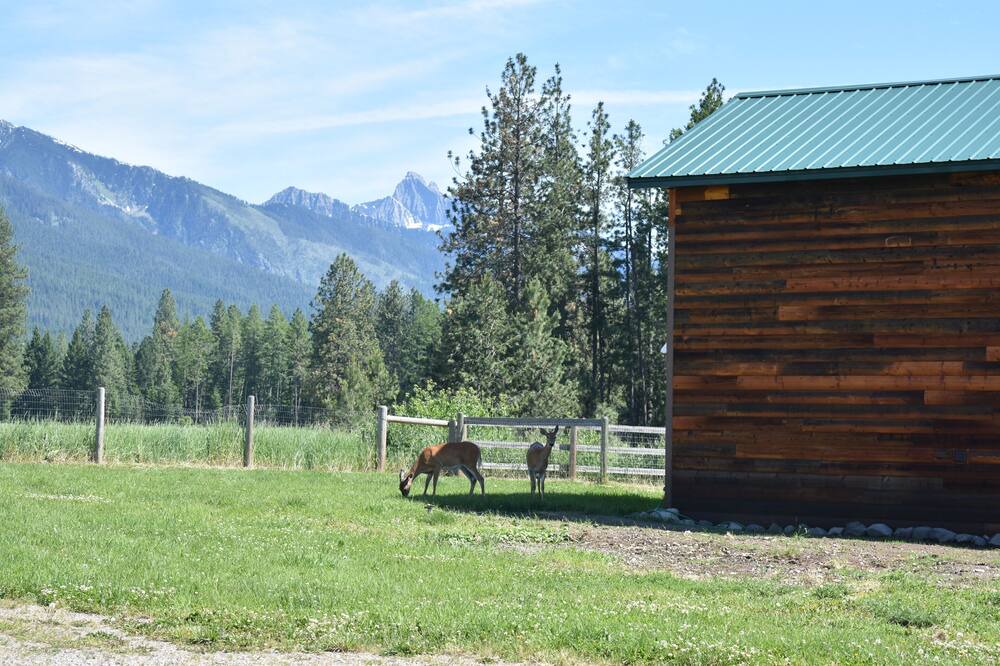 Photo of Outdoor in Ronan