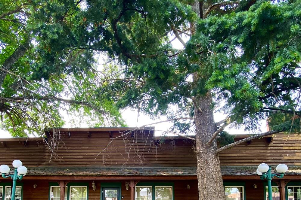 Photo of Outdoor in Darby