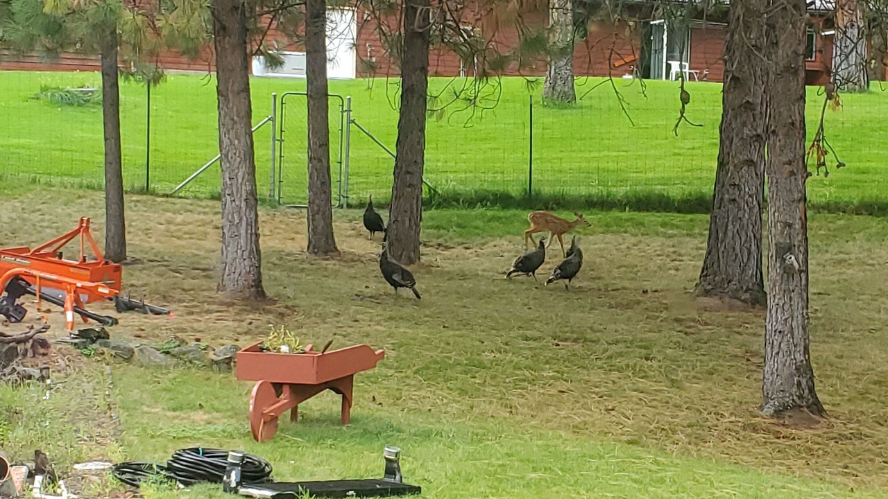 Photo of Outdoor in Plains