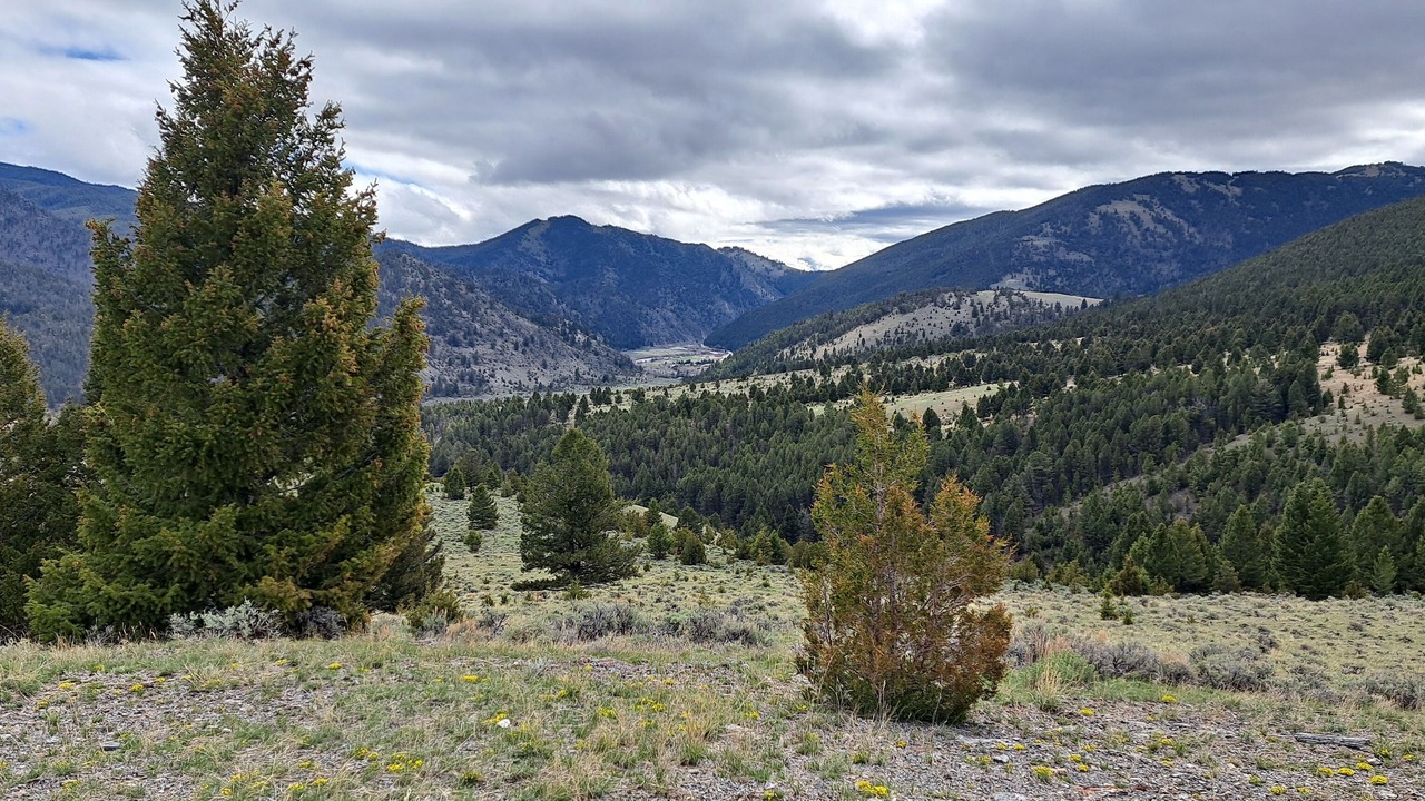 Photo of Outdoor in Polaris