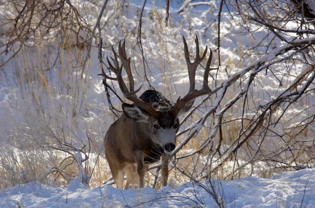 Photo of Outdoor in Polaris