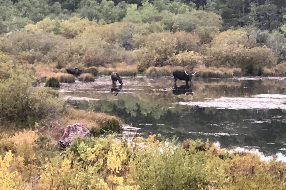 Photo of Others in East Glacier Park