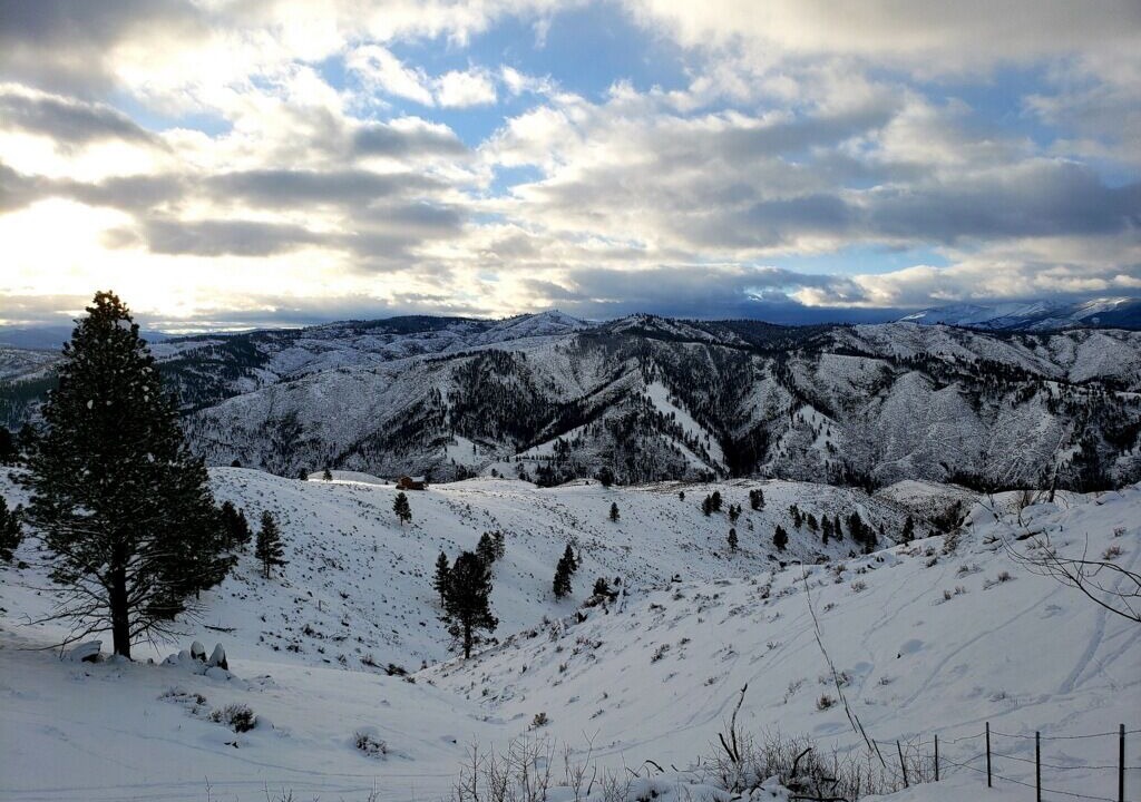 Photo of Others in Darby