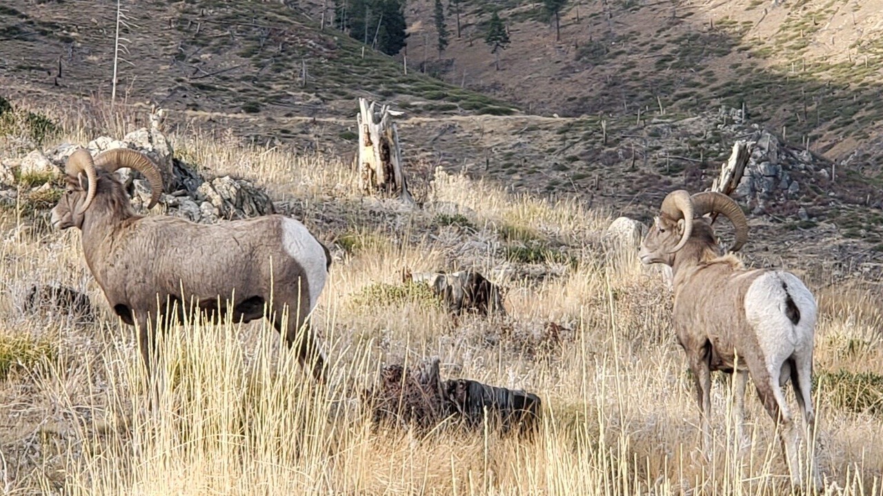 Photo of Outdoor in Darby