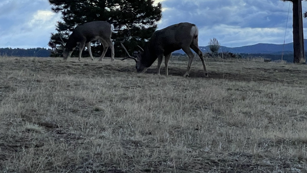 Photo of Outdoor in Darby