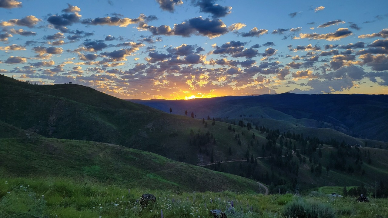 Photo of Outdoor in Darby