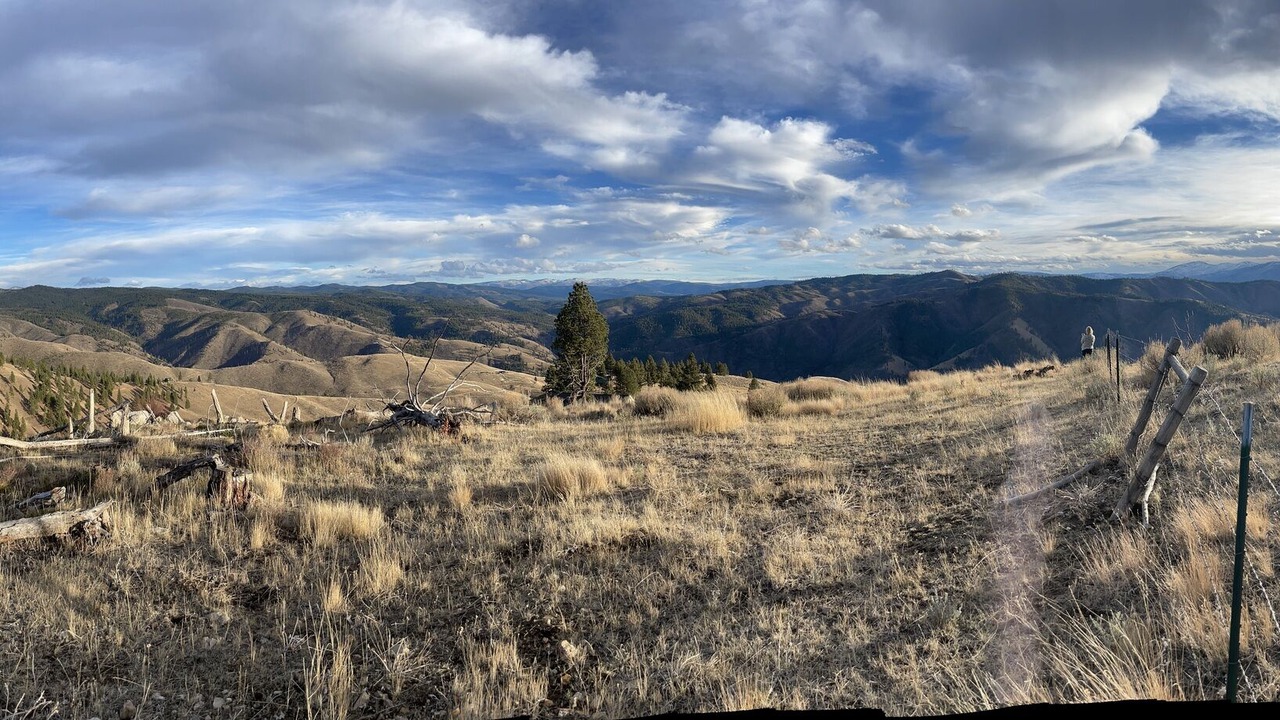 Photo of Others in Darby