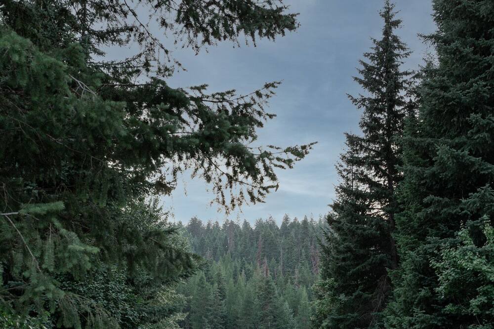 Photo of Outdoor in Marion
