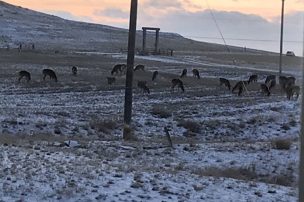 Photo of Others in Great Falls