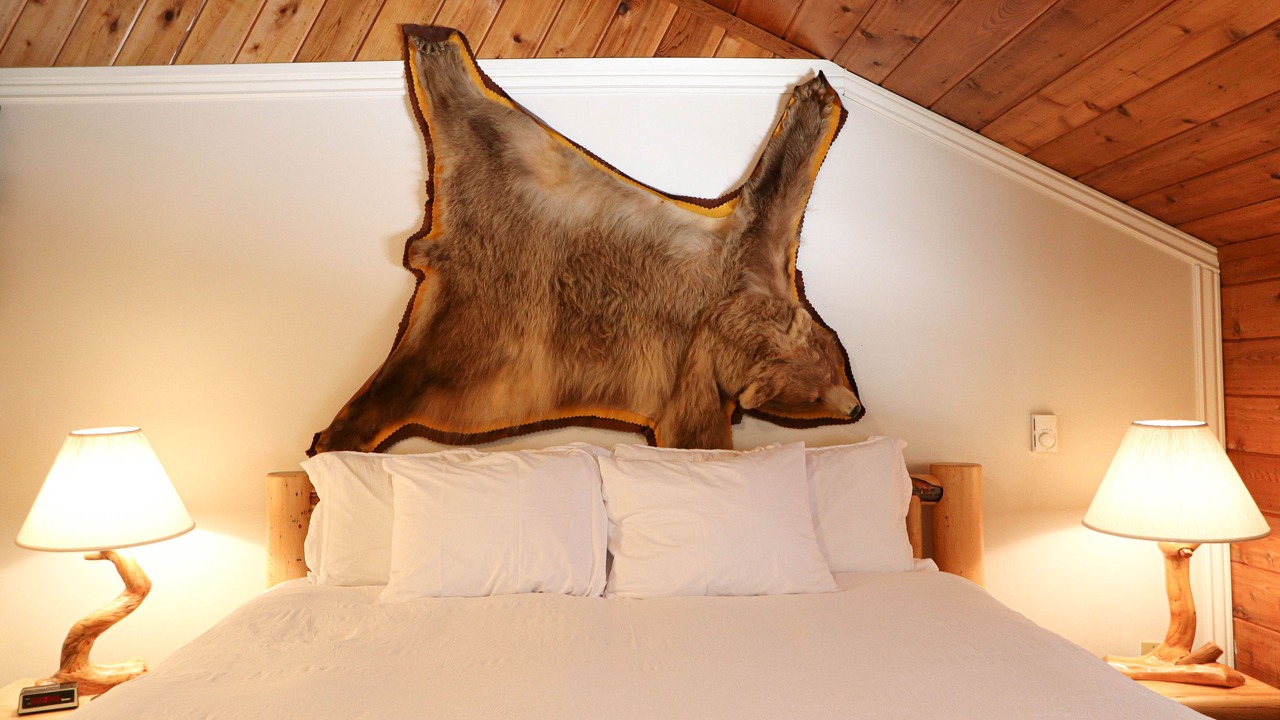 Photo of Others in West Yellowstone