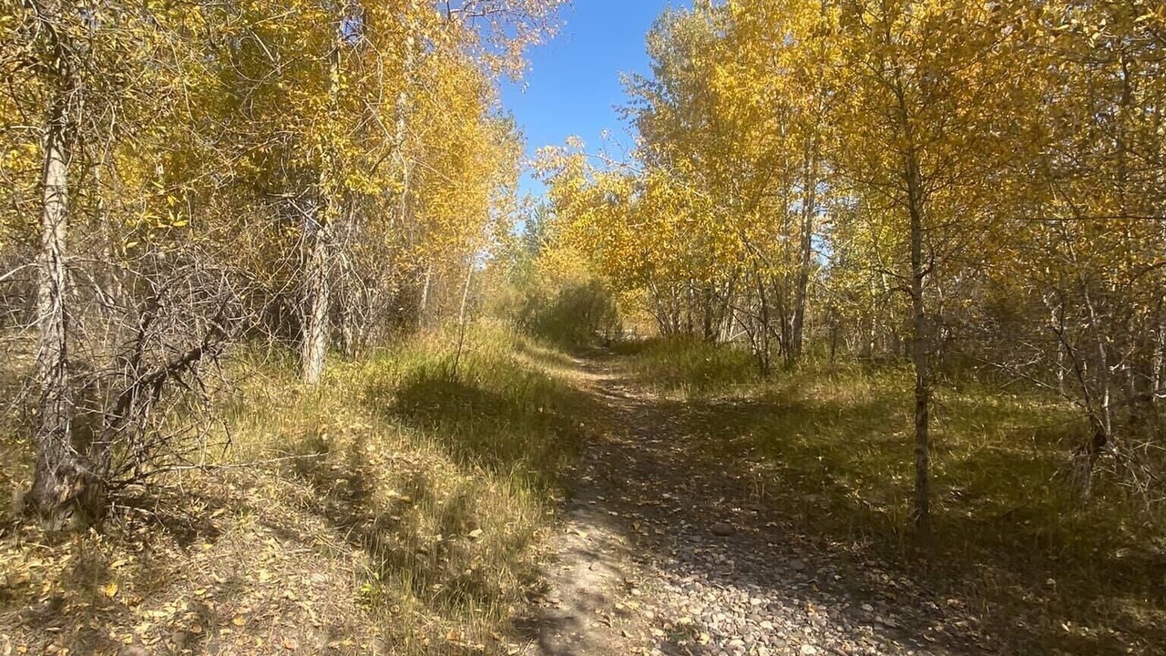 Photo of Outdoor in Bozeman