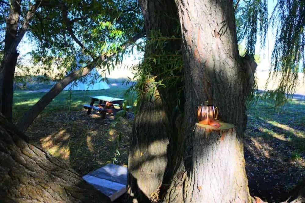 Photo of Outdoor in Polson