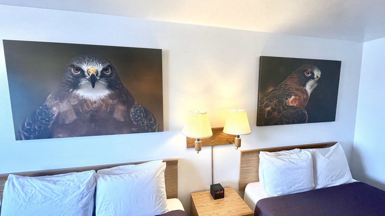 Photo of Bedroom in Ennis