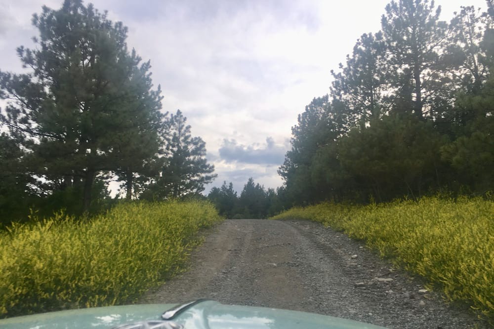 Photo of Others in Sweet Grass County