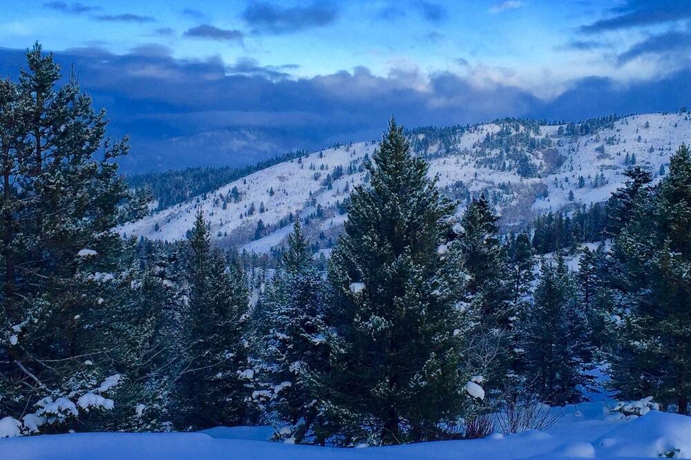 Photo of Others in Bozeman