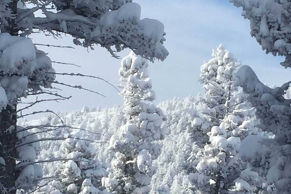 Photo of Others in Bozeman