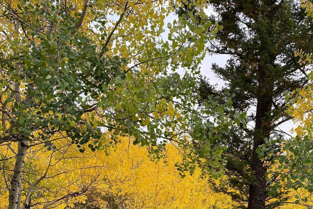 Photo of Outdoor in Bozeman
