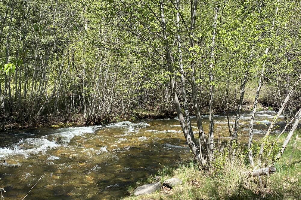 Photo of Outdoor in Missoula