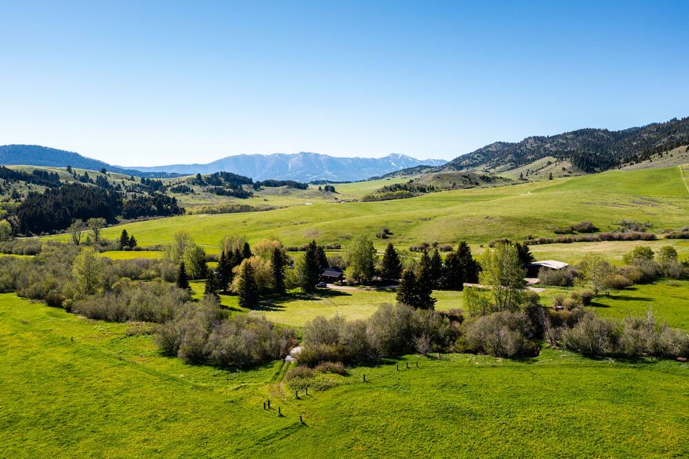 Photo of Others in Bozeman