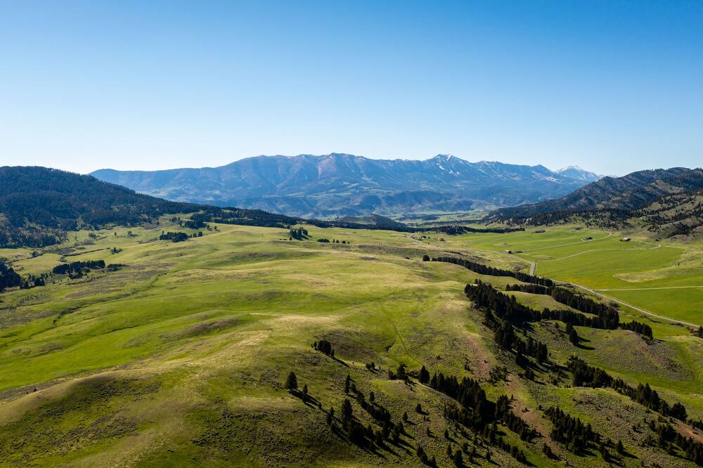 Photo of Others in Bozeman