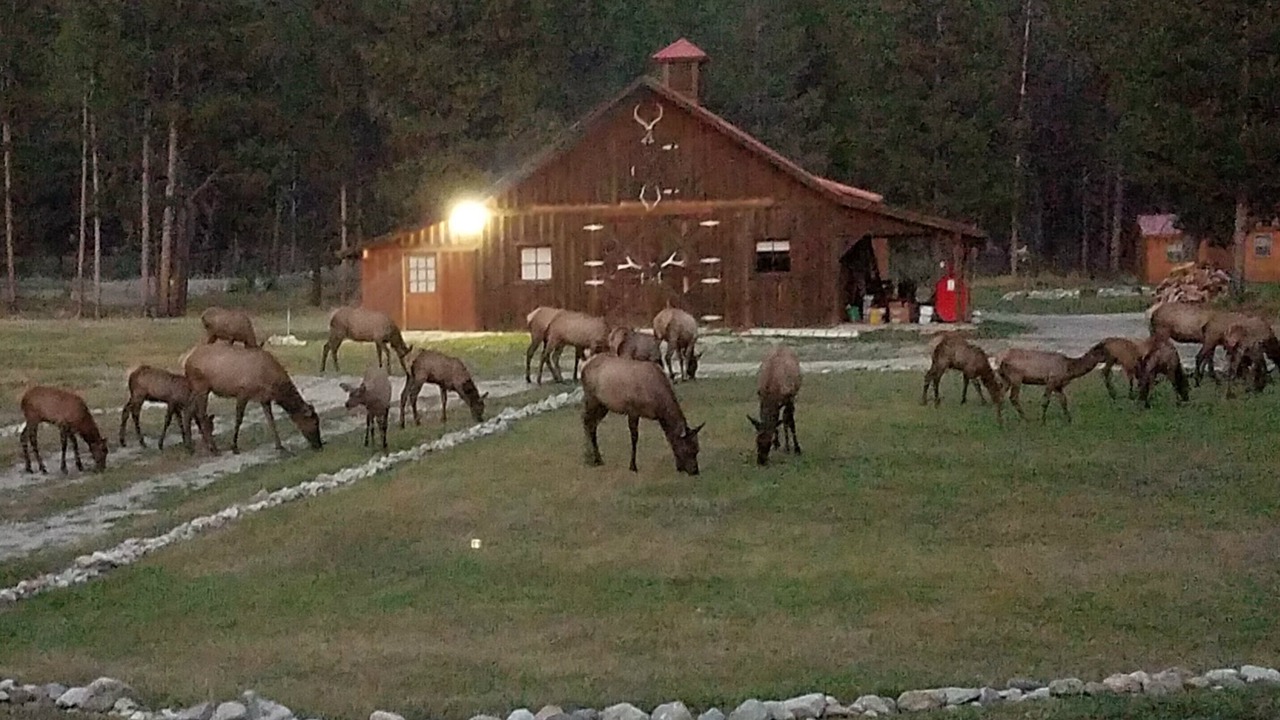 Photo of Outdoor in Darby
