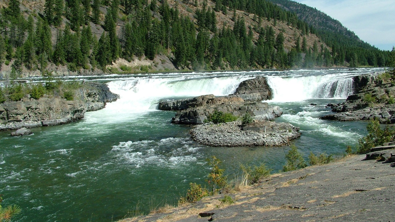 Photo of Outdoor in Trout Creek