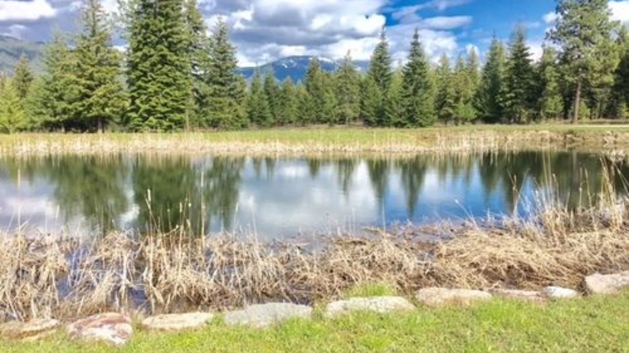 Photo of Outdoor in Trout Creek