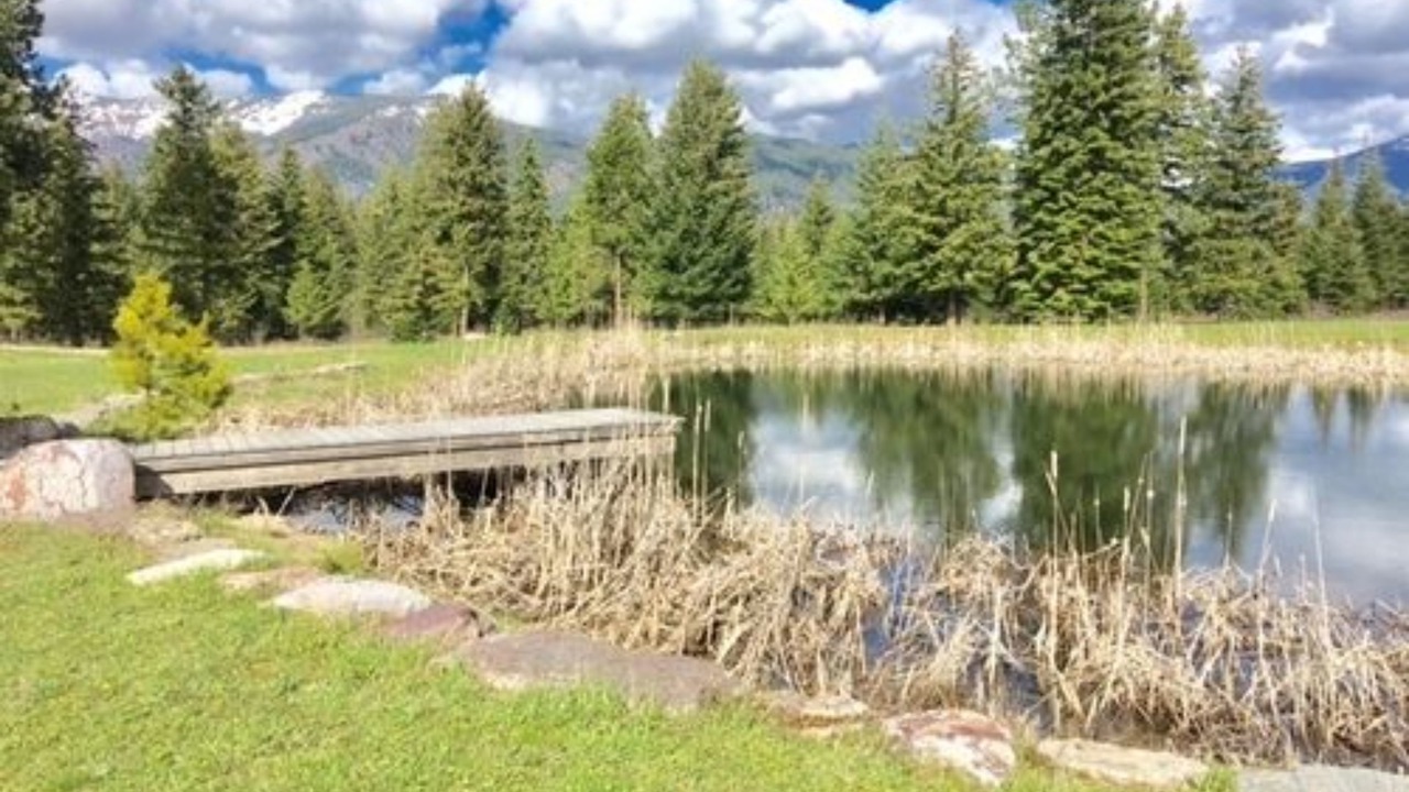 Photo of Others in Trout Creek