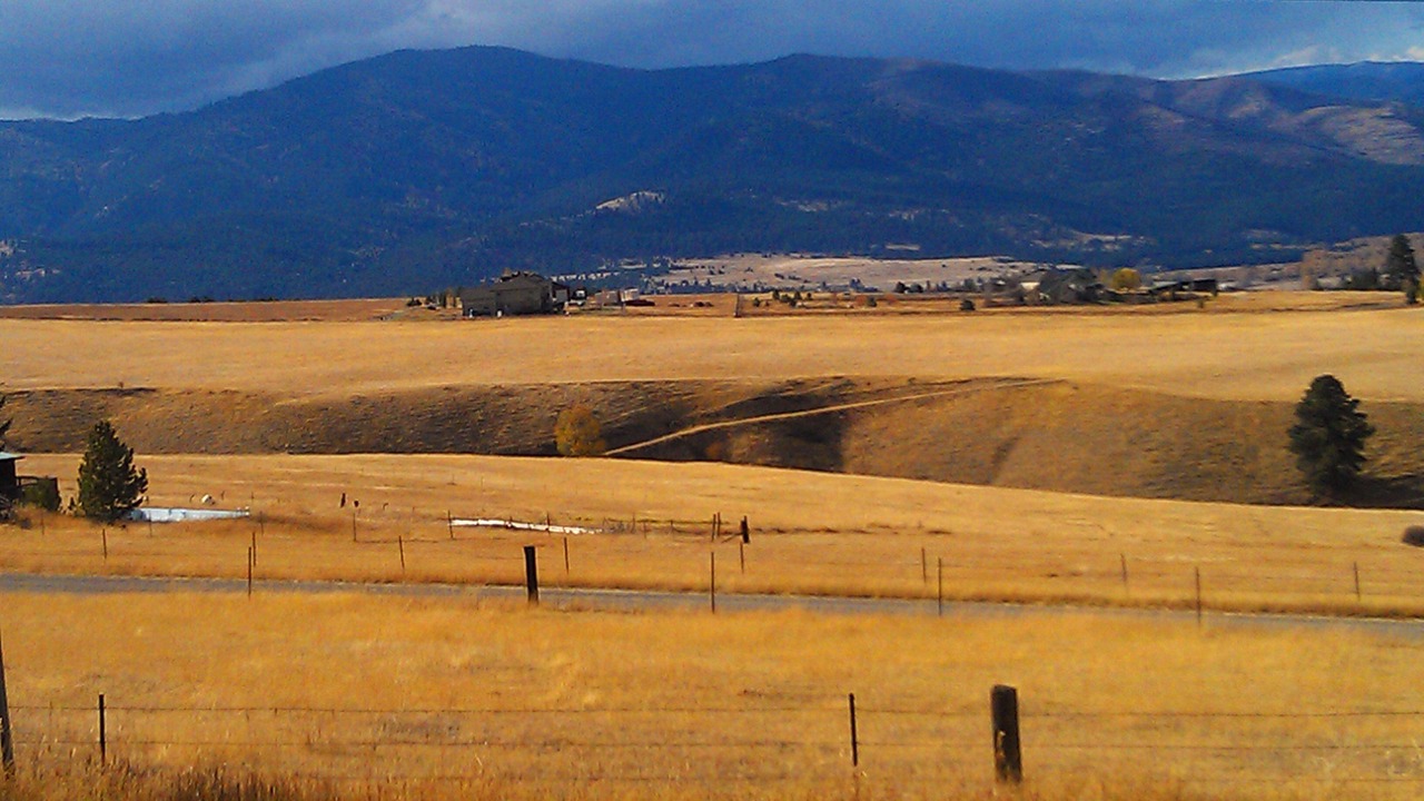 Photo of Others in Heart of Missoula