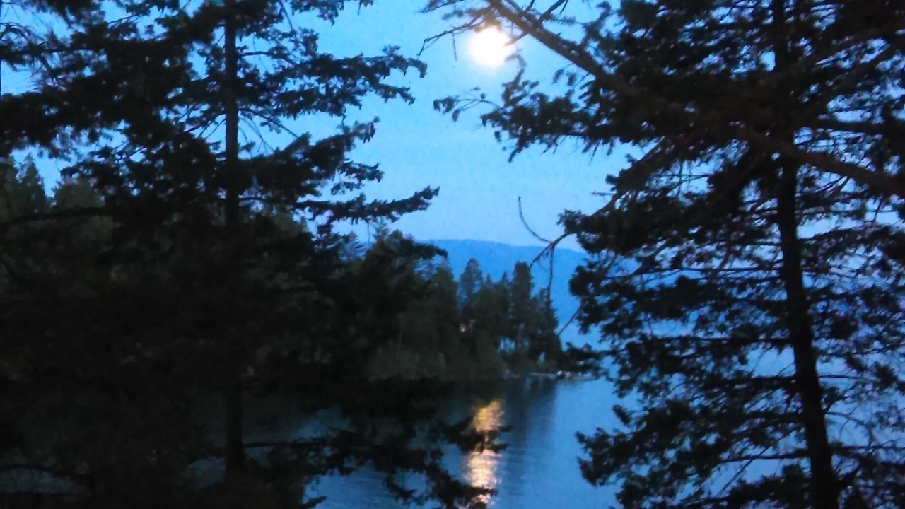 Photo of Outdoor in Lakeside