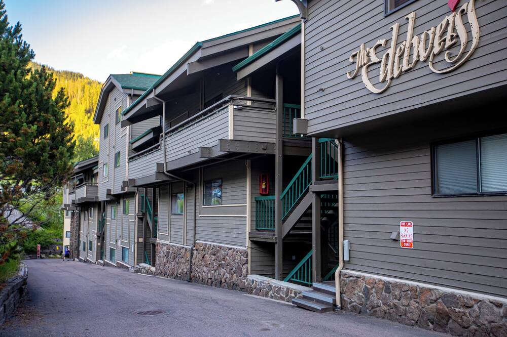 Photo of Others in Whitefish