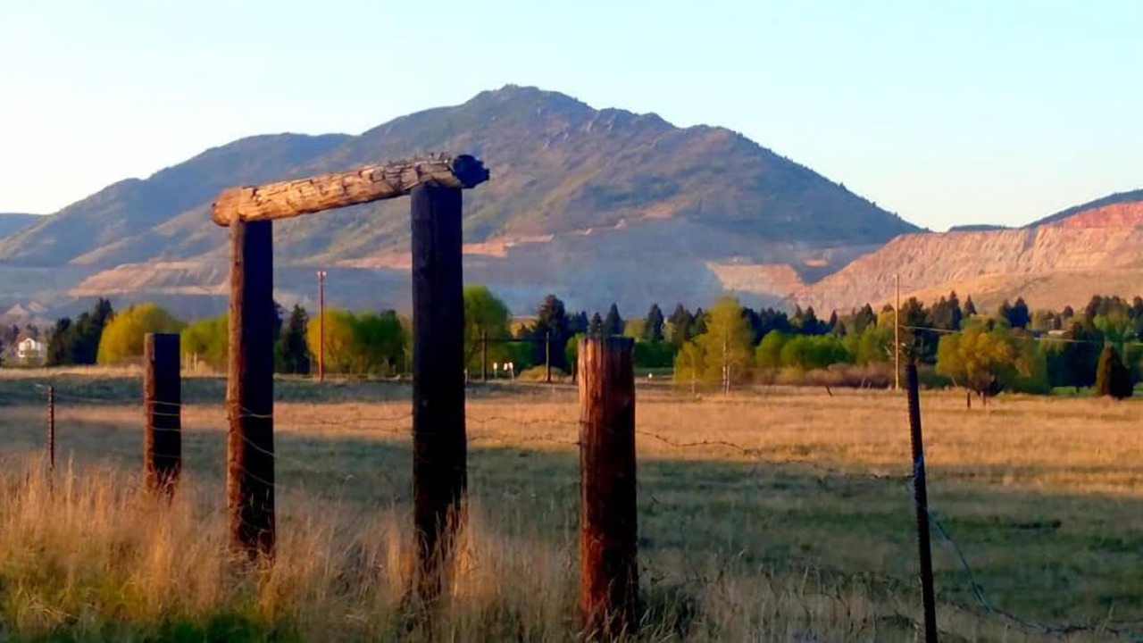 Photo of Outdoor in Whitehall