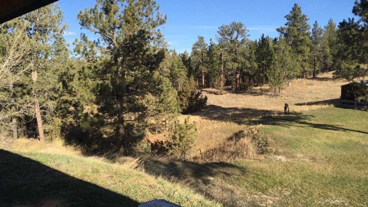 Photo of Outdoor in Roundup