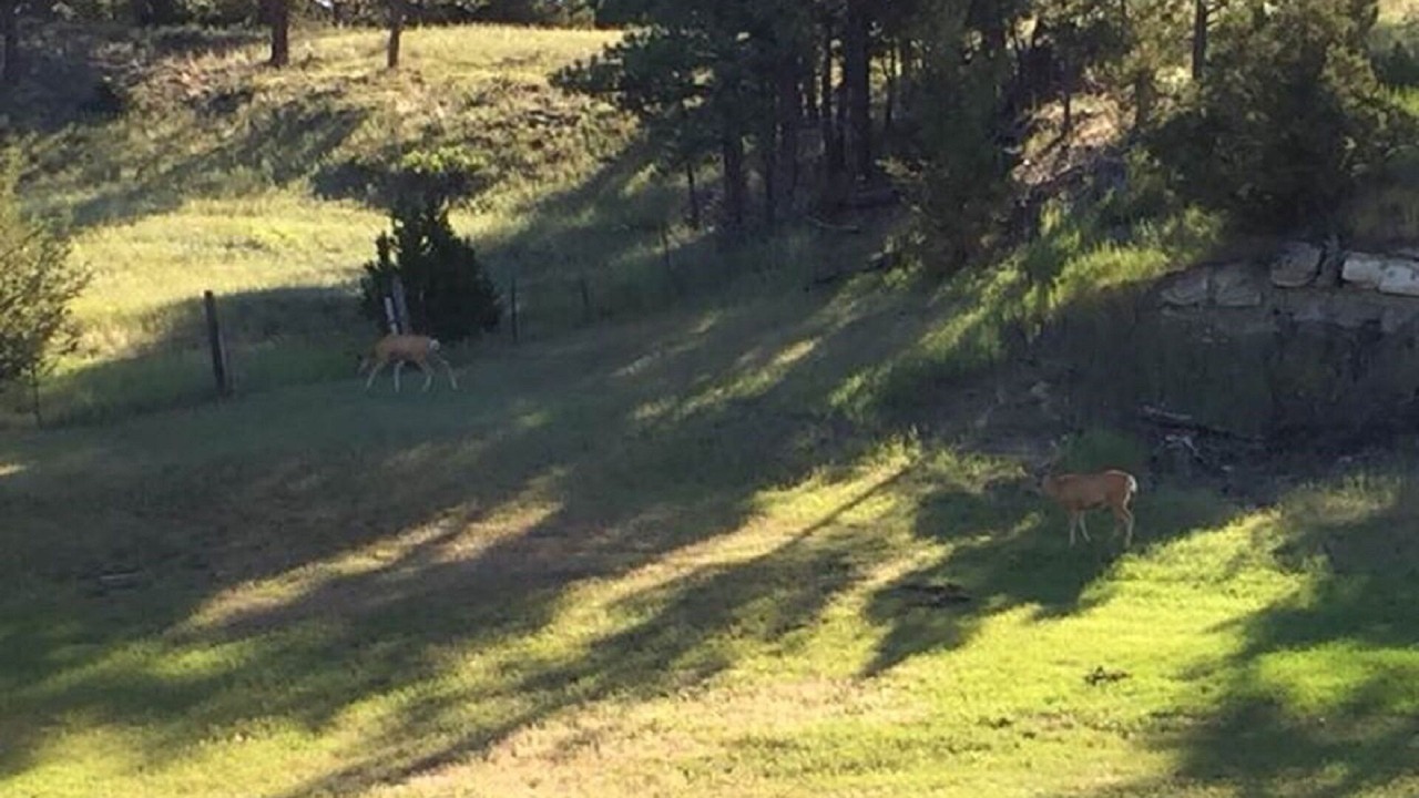 Photo of Outdoor in Roundup