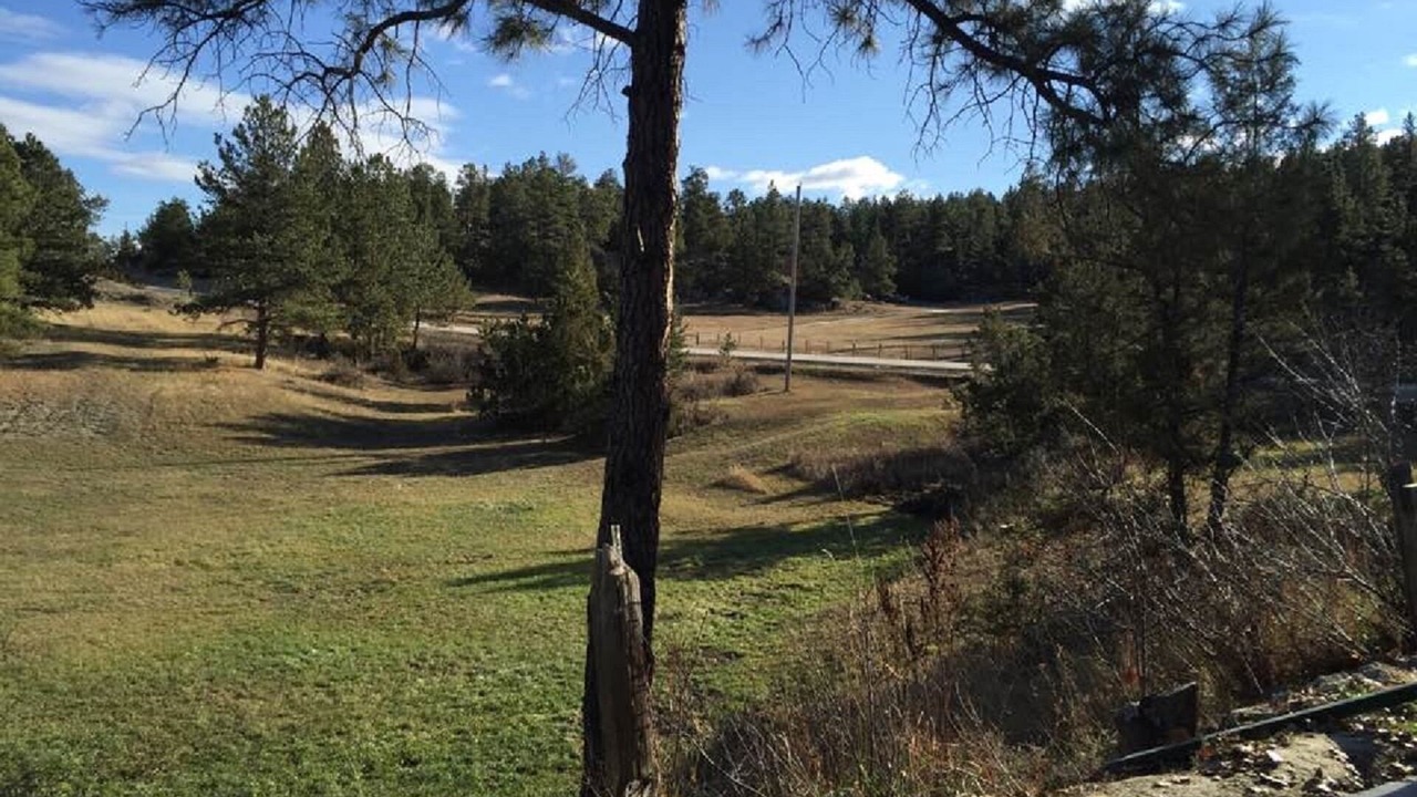 Photo of Outdoor in Roundup