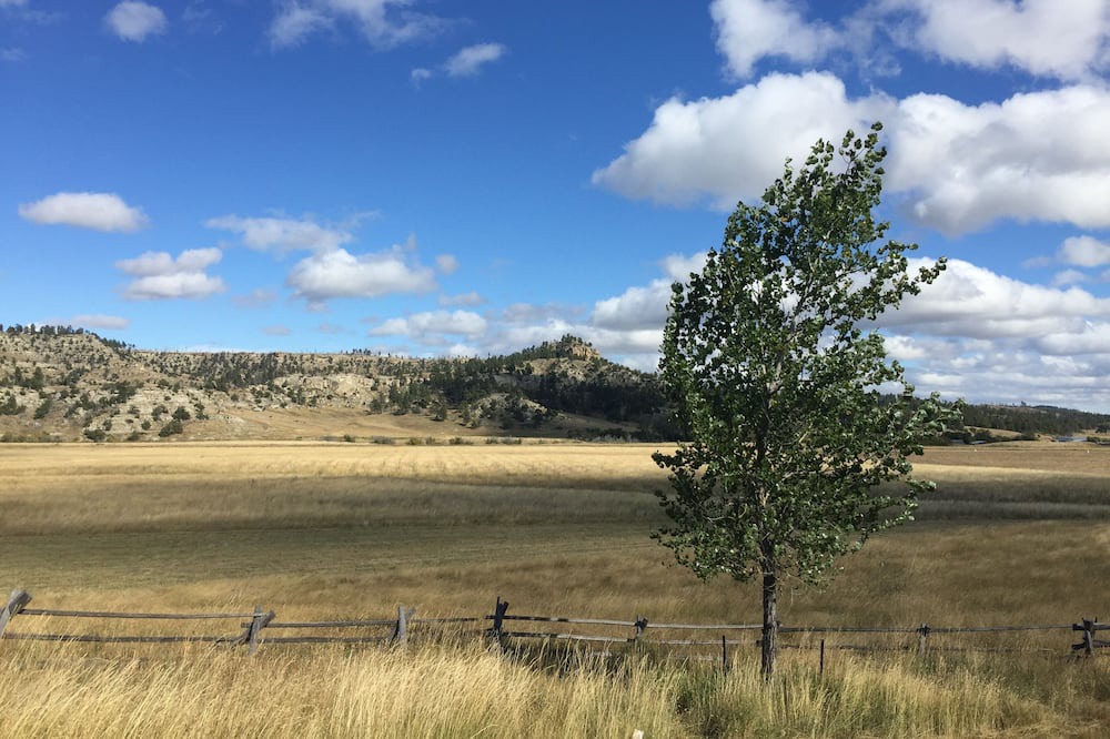 Photo of Outdoor in Roundup