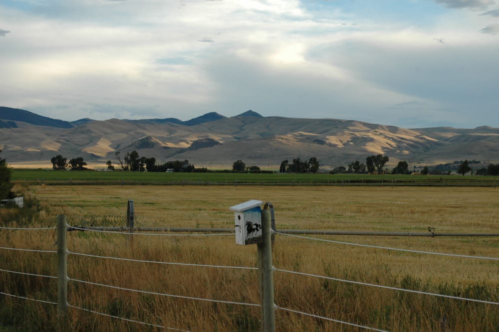 Photo of Others in Dillon